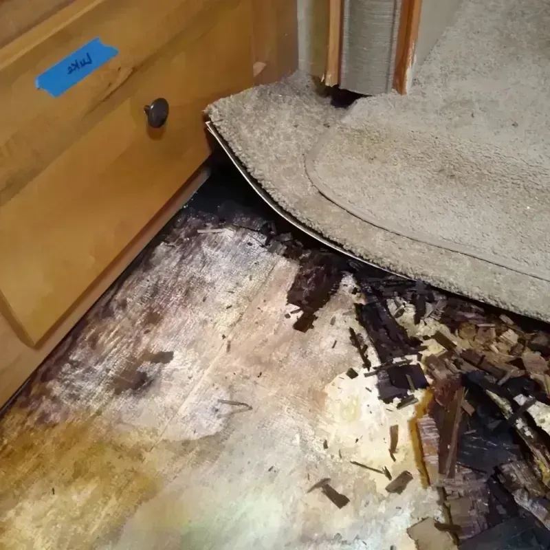 Wood Floor Water Damage in Lawton, OK